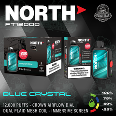 North FT12000 Disposable Vape - Blue Crystal