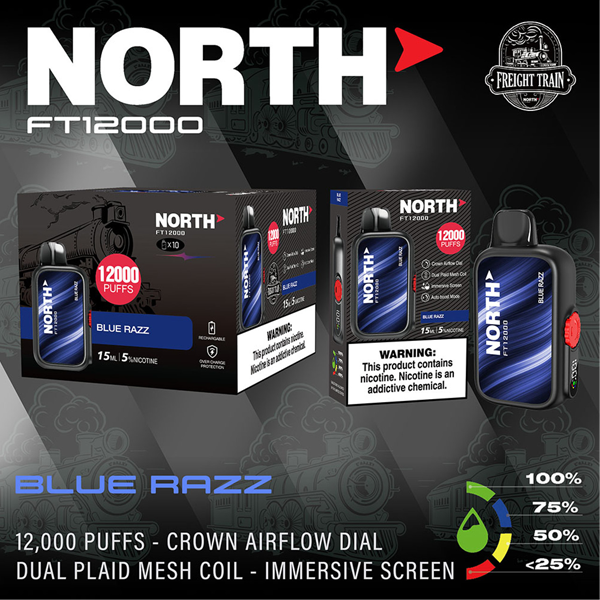 North FT12000 Disposable Vape - Blue Razz