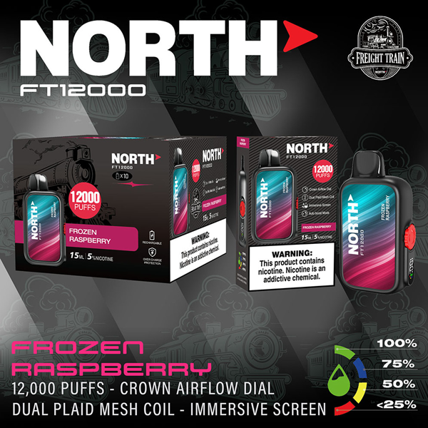 North FT12000 Disposable Vape - Frozen Raspberry