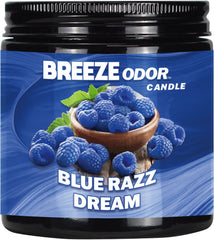 Breeze Odor 13oz Candle Jar - Display of 1 (MSRP $11.99 Each) - SMDistro