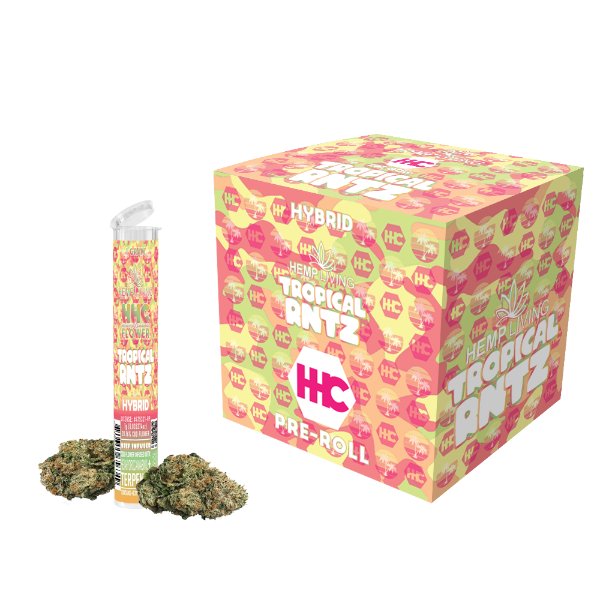 HEMP LIVING - HHC FLOWER 1G PRE - ROLL HIGH POTENCY KEIF INFUSED - 10CT DISPLAY - SMDistro