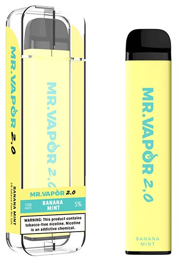 Mr. Vapor 2.0 4.2mL 700 mAh 5% Salt Nicotine 1200 Puffs - Display of 10 (MSRP $7.99 Each) - SMDistro