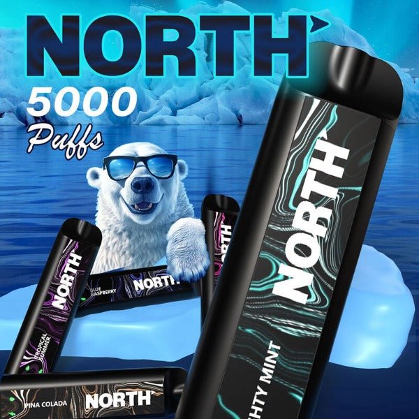 North 5000 Puffs 10ml 5% Nicotine Disposable Vape Device - Display of 10 (MSRP $19.99) - SMDistro